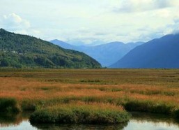 吃瓜娱乐万象,揭秘娱乐圈幕后故事与热点事件